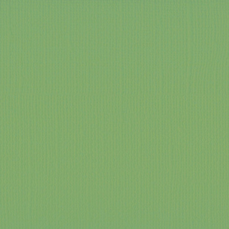 Cartoncino effetto tela MOSS 216gsm 30x30cm