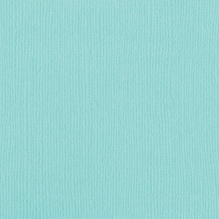 Cartoncino Bazzill Mono Canvas Aruba 30x30cm 216gsm