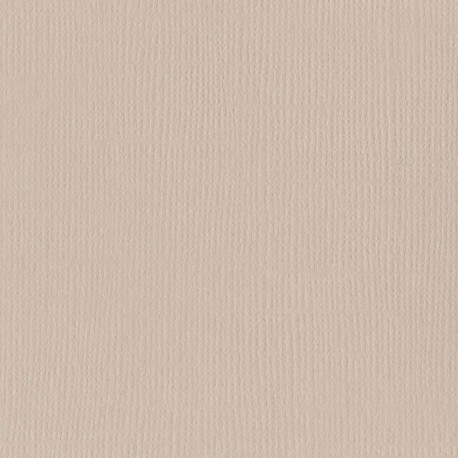 Cartoncino Bazzill Mono Canvas Twig 30x30cm 216gsm