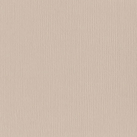 Cartoncino Bazzill Mono Canvas Twig 30x30cm 216gsm
