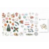 Studio Forty Frosty Season Paper Die-Cuts 60pz