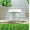Lawn Fawn Stencil Paste Silver
