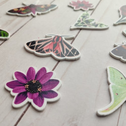 Craft Consortium Midnight Flight Wood Shapes