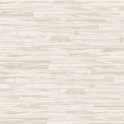 Carta Bella Welcome Winter Winter Whiteout Double-Sided Cardstock 30x30cm