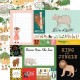 Echo Park Animal Kingdom Collection Kit 30x30cm