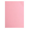 Cartoncino Effetto Tela A4 Rose 216 gsm