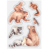 Craft Consortium In The Forest Bear Clear Stamps