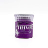 Nuvo Glimmer Paste Astral Aubergine
