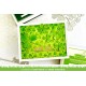 LAWN FAWN Good Luck Line Border Die