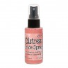 Distress Oxide Spray Saltwater Taffy