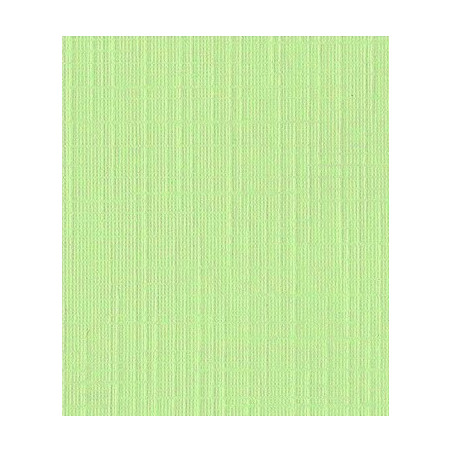 Cartoncino effetto LINO KIWI 250 gms 30x30 cm