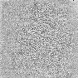 Tim Holtz Ranger Distress Crackle Paint Translucent