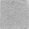 Tim Holtz Ranger Distress Crackle Paint Translucent