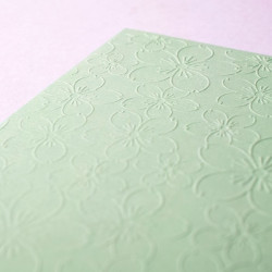 Vaessen Creative Embossing Folder Cherry Blossom