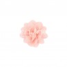 Fiore Chiffon Corallo