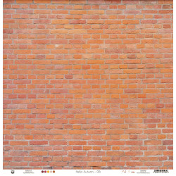 Foglio Piatek Paper HELLO AUTUMN 06 30x30cm