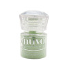 NUVO EMBOSSING POWDER - Frayed Leaf