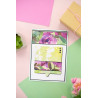 Gemini Door Reveal Stamp & Die Square