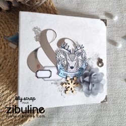Maniglia con Anello e Rivetto - Argento