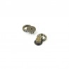 Maniglia con Anello e Rivetto - Bronzo