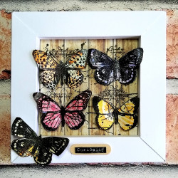 AALL & Create Stamp Set 825 Spotted Wings