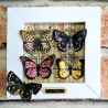 AALL & Create Stamp Set 825 Spotted Wings