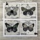 AALL & Create Stamp Set 826 Delicate Wings