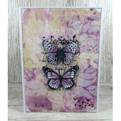 AALL & Create Stamp Set 825 Spotted Wings