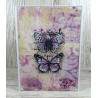 AALL & Create Stamp Set 825 Spotted Wings