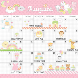 Doodlebug Design Baby Girl First Year Calendar Kit