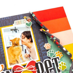 Simple Stories Pet Shoppe Cat Decorative Brads 33pz