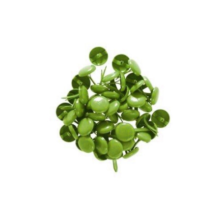 35 BRADS VERDE da 8mm
