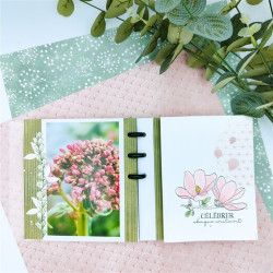 HA-PI Little Fox HANAMI Le temps des Fleurs Clear Stamp