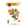 Sokai SO' Celebrate Les fleurs Cling stamps
