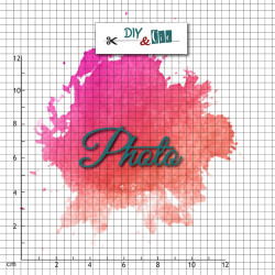 Diy & Cie Photo V4 Die