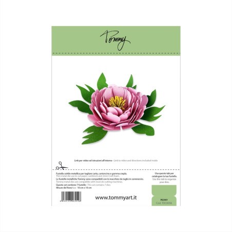 Tommy Fustella Peony
