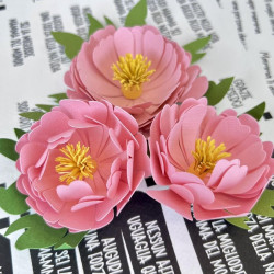 Tommy Fustella Peony