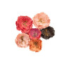 Prima Marketing Strawberry Milkshake Flowers 6pz