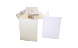 A6 Cards & Envelopes (50pezzi) - Timeless Pearlescent