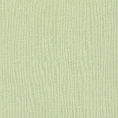 Cartoncino Bazzill Mono Canvas Aloe Vera 30x30cm 216gsm