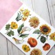 Mintay Papers Flora 7 Elements for Precise Cutting 15x20cm