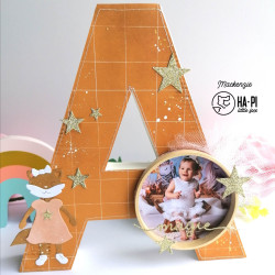 HA-PI Little Fox LE MONDE D'HAPI Hapi le renard Die Set