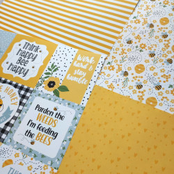 Echo Park Bee Happy Collection Kit 30x30cm