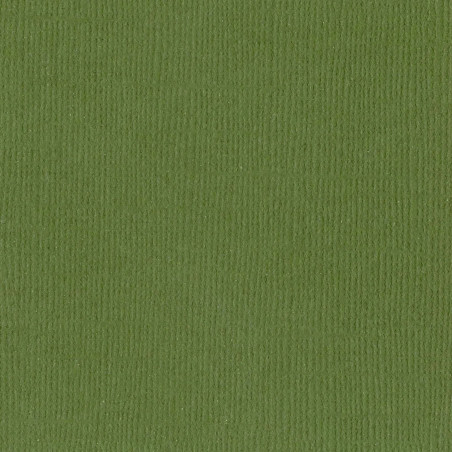 Cartoncino Bazzill Mono Canvas NIXON 30x30cm 216gsm