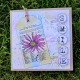 AALL & Create Stamp Set 930 Paper Leaves