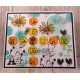 AALL & Create Stamp Set A5 926 Garden She Wrote