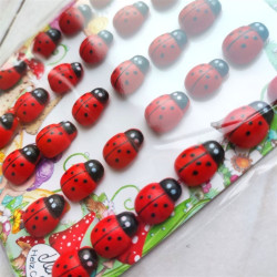 Craft Consortium Fairy Wishes Wooden Ladybirds