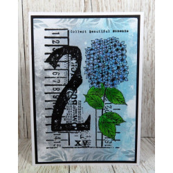 AALL & Create Stamp Set A6 983 Hiya Drangea!