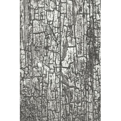 3-D Texture Fades Embossing Folder - Cracked by Tim Holtz 666295