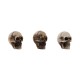 Idea-ology Tim Holtz Halloween Skulls + Bones